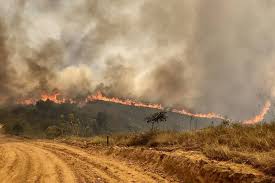 Vai ter incêndio hoje aqui. 4hmg76k4h8tvym