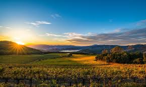 Napa Valley Zoom Backgrounds For Your Virtual Meetings The Visit Napa Valley Blog Visit Napa Valley Napa Valley Wineries Visiting Napa