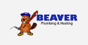 Beaver plumbing