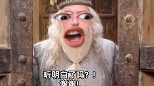 Harry Borg-哔哩哔哩_Bilibili