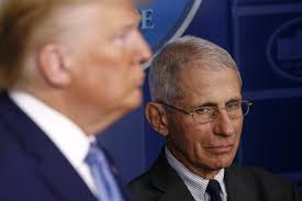 Because the point is how dr fauci is overwhelmed by and reacting to the words of sheer medical genius he is to responders claiming fauci is laughing because trump is so on point here, sure, that's how people usually. Trump Vs Fauci President S Gut Sense Collides With Science