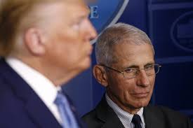 But a little known story is how dr. Trump Vs Fauci President S Gut Sense Collides With Science