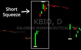 short squeezes investors underground