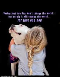 Save A Dog Funny Dog Pictures Dogs Dog Quotes
