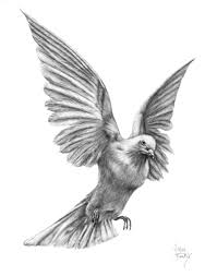Why did pablo picasso draw the doves feet? Pin By Studio Sixtyone On Artwork By Studio Sixtyone Dove Drawing Memorial Tattoos Drawings