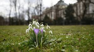 Es gibt einen astronomischen und einen kalendarischen frühlingsanfang und dazu noch einen meteorologischen. Fruhlingsanfang Tag Und Nacht Gleich Lang Br Kinder Eure Startseite