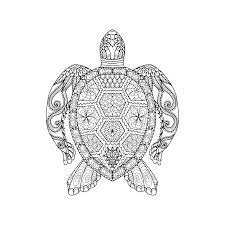 Check spelling or type a new query. Leuk Voor Kids Schildpad Kleurplaten Mandala Kleurplaten Dieren Kleurplaten