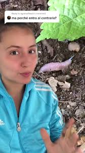 Grappa con Fiori di Tiglio: Ricetta Aromatica e Benefici