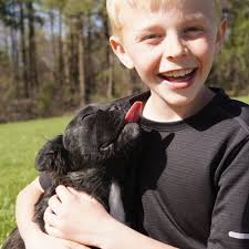 BEST of Sigourney, IA Veterinarians