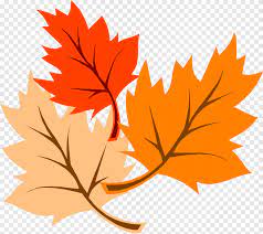 Maybe you would like to learn more about one of these? Thanksgiving Leaves Png Images Pngegg
