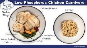 My perfect pet dog low phosphorus lamb & rice blend 3.5lb. Podcast Introducing My Perfect Pet Gently Cooked Fresh Food For Pets With Owner Karen Neola Green Acres Kennel Shop Blog