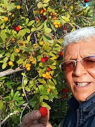 Dağ çileğinin merkezinden herkese iyi akşamlar diliyorum.