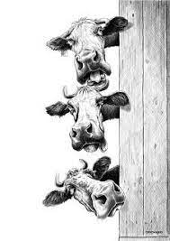 nos petits freres les animaux caricatures art de vache dessin coloriage ahland