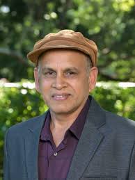 Professor Abdullah Mamun