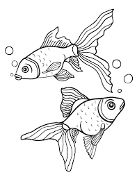 See the presented collection for goldfish coloring. Free Goldfish Coloring Page