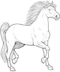 Resultado De Imagen Para Imagenes De Caballos Bonitos Para Dibujar Dibujos De Caballos Como Dibujar Un Caballo Pinturas De Caballos ¡afortunadamente, dibujar un caballo sencillo es fácil y rápido! caballos bonitos para dibujar dibujos