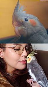 Honoring Harbin Hot Springs community members who passed away