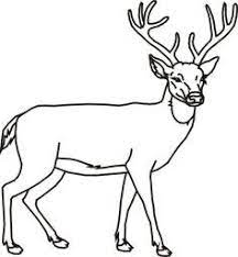 We did not find results for: Imagini Cu Animale Salbatice De Colorat Fise De Lucru Gradinita Geyik Hayvan Boyama Sayfalari Hayvanlar