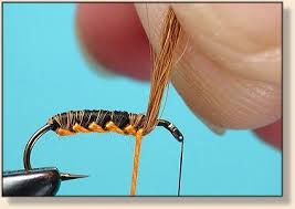 Woven Hackle Flies Advanced Fly Tying Fly Angler S Online Fly Tying Fly Tying Patterns Fly Fishing