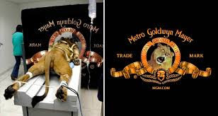 This gave the name 'metro goldwyn myer' and around this time the mgm logo was created. 5 True Stories Behind Famous Hollywood Studio Logos
