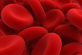 Image result for Anemia