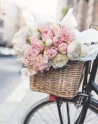 We did not find results for: Paris In Bloom Flower Magazine