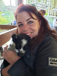 2024 Iditarod at Willow, Alaska: Musher and Dogs in Action