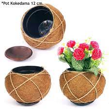We did not find results for: Pot Kokedama Cocofiber Pot Bunga Tanaman Pot Serabut Kelapa Ukr 12 Cm Shopee Indonesia