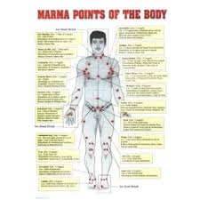 Marma Therapy Chart Set Of 3 Ayurvedic Doctor Ayurveda