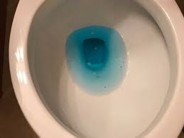 Image result for Blue 2000 CIL