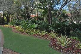 Lovely Tropical Landscape In Jupiter Fl Featuring Bromeliads And Tropical Textures By Pamela Tropical Garden Tropical Landscape Design Tropical Garden Design
