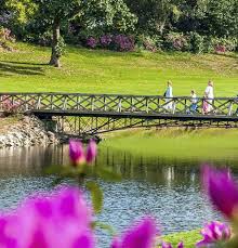 You can see how to get to bay flowers on our website. Flowers Trees In Mobile Visit Mobile Alabama
