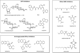 The Antibiotic Resistome: A Guide for the Discovery of Natural Products as  Antimicrobial Agents | Chemical Reviews