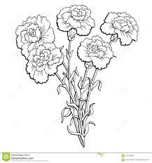 Carnation Flower Graphic Black White Isolated Bouquet Sketch Illustration Vector Stock Vector Illustration Of N Flower Graphic Flower Drawing Flower Sketches