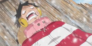 What'S The Most Gruesome Defeat Our Hero Suffered? 🤔 : R/Onepiece