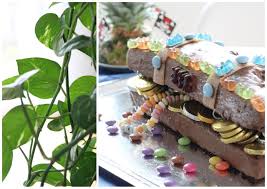 Die schatzkiste mit süßigkeiten füllen und das letzte kitkat® als deckel obenauf setzen. Schatzkiste Kuchen Elf19 De