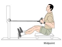 Middle back workouts at home. Back Workouts Best Upper Lower Back Workouts Tips