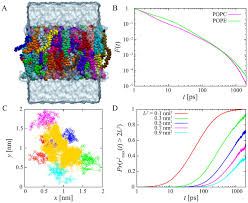 Origin of subdiffusion of water molecules