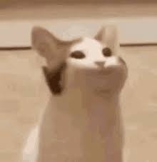There's no life after downloading this game. Pop Cat Clicker By Kolfun