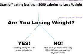 Having seen the longing in a lot of people to lose weight quickly, the article tries to offer tips to lose weight fast and not the 'lose weight in 3 days' trend. How To Lose Weight Fast All Over Keep It Off