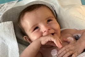 Fundraiser for Hannah Meads by Becky Wilson Grothe : Tucker & Bennett are  with Jesus. Please help.