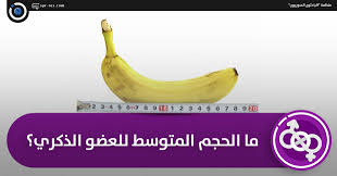 الباحثون السوريون ما الحجم المتوسط للعضو الذكري
