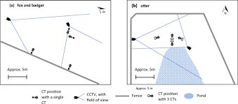 Set up a pir sensor detector that has a security light attached to it so that the light is activated when heat is detected. Component Processes Of Detection Probability In Camera Trap Studies Understanding The Occurrence Of False Negatives Springerlink