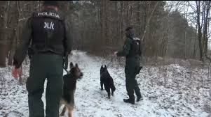 See more of policajné prípady on facebook. Mnozia Sa Pripady Nelegalnych Vyrubov Spravy Rtvs