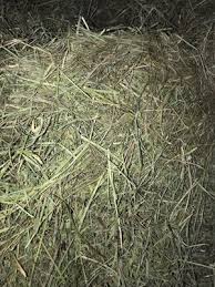 Red Barn Feed Supply 12948 Okeechobee Blvd Loxahatchee Fl Pet Shops Mapquest