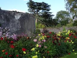 We held a corporate treasure hunt in the grounds of mount juliet, enjoying the beautiful lawns, graceful trees, bubbling river nore and manicured gardens. Gardens Picture Of Mount Juliet Estate Kilkenny Thomastown Tripadvisor