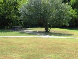 Access 1002 trusted reviews, 175 photos & 210 tips from fellow rvers. River Picture Of Plum Park On The Colorado La Grange Tripadvisor