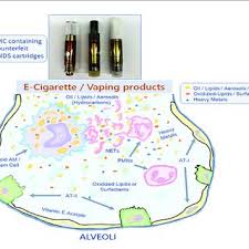 Smoke rings, vape rings or o's are fun to do and look pretty cool. Pdf Pulmonary Toxicity And The Pathophysiology Of Electronic Cigarette Or Vaping Product Use Associated Lung Injury
