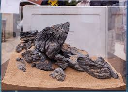 Aquascaping Ada Seiryu Stone Rock Aquarium Tropical Fish Plant Shrimp Driftwood Aquascape Aquarium Aquarium Design Aquascape