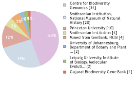 Image result for Maerua andradae